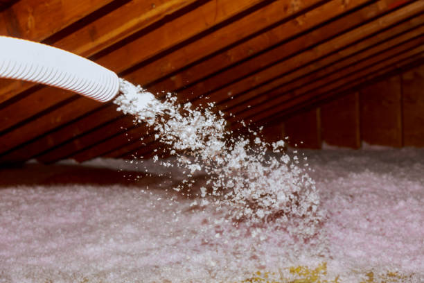 Best Spray Foam Insulation in De Leon, TX